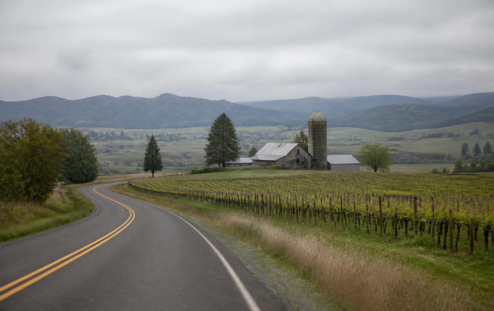 A two-lane road curving past vineyard rows, a weathered barn and grain silo under an overcast sky